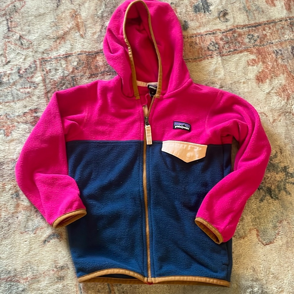 Patagonia Kids Micro D Snap-T Fleece Zip Hooded Jacket